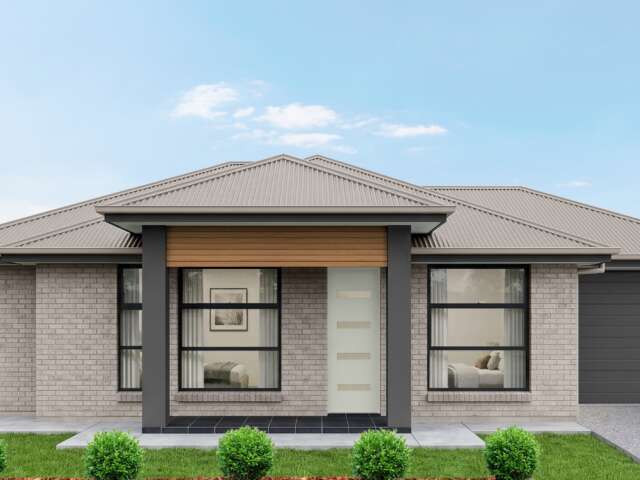 Senses - Lot 167