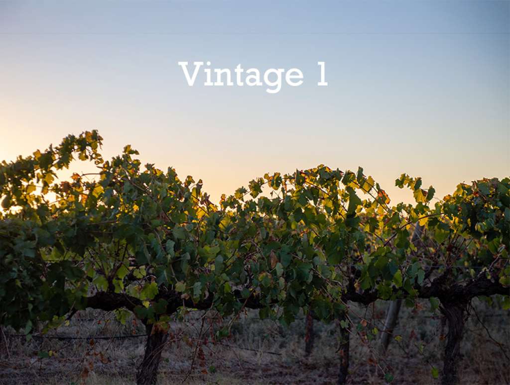 Vintage 1 Release The Entrance