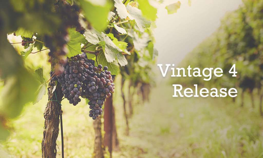 Vintage-4-release-the-entrance-angle-vale
