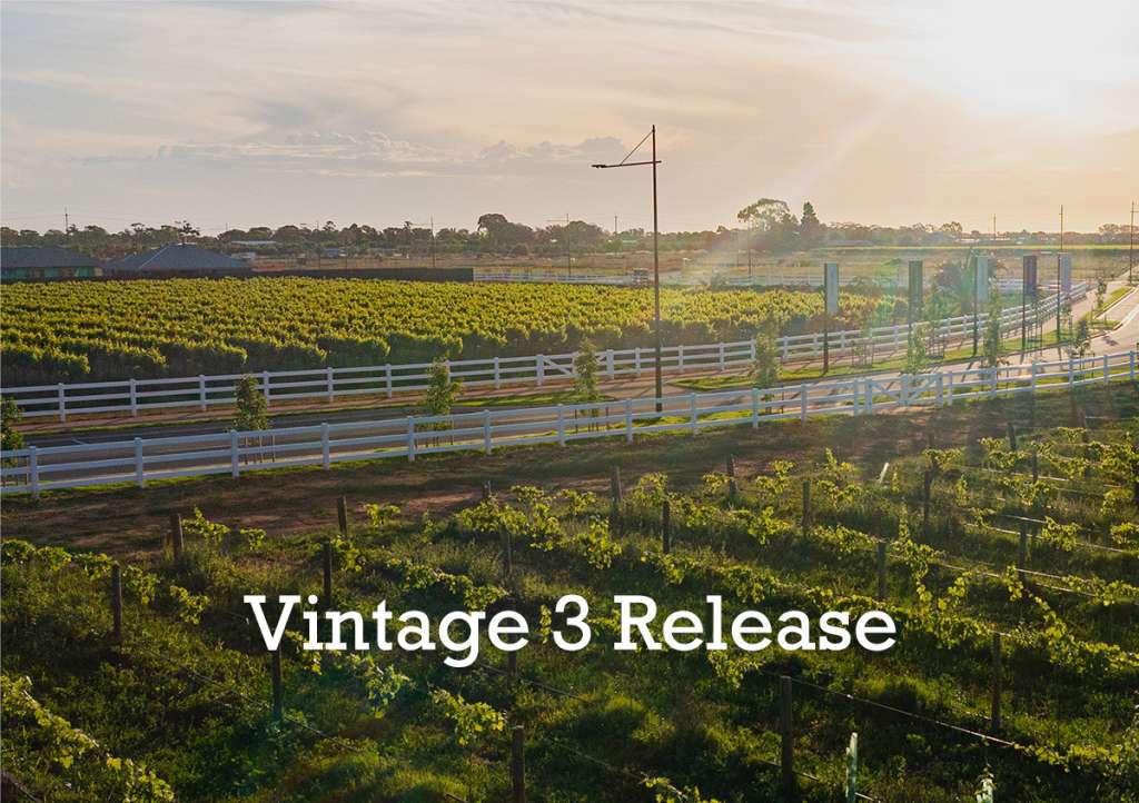 Vintage 3 Release Angle Vale